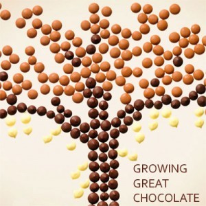 Growing Great Chocolate van Callebaut bij Saranne
