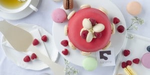 Nice Tea | Saranne Oisterwijk