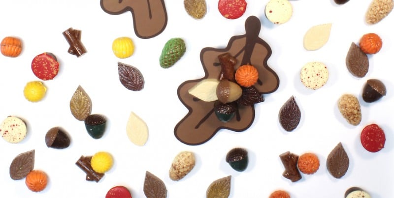 Saranne Herfstchocolade 2019