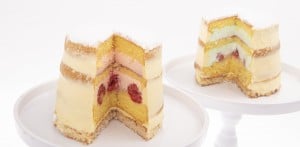 Saranne Patisserie Genderreveal - geboortetaart
