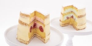 Saranne Patisserie Genderreveal - geboortetaart